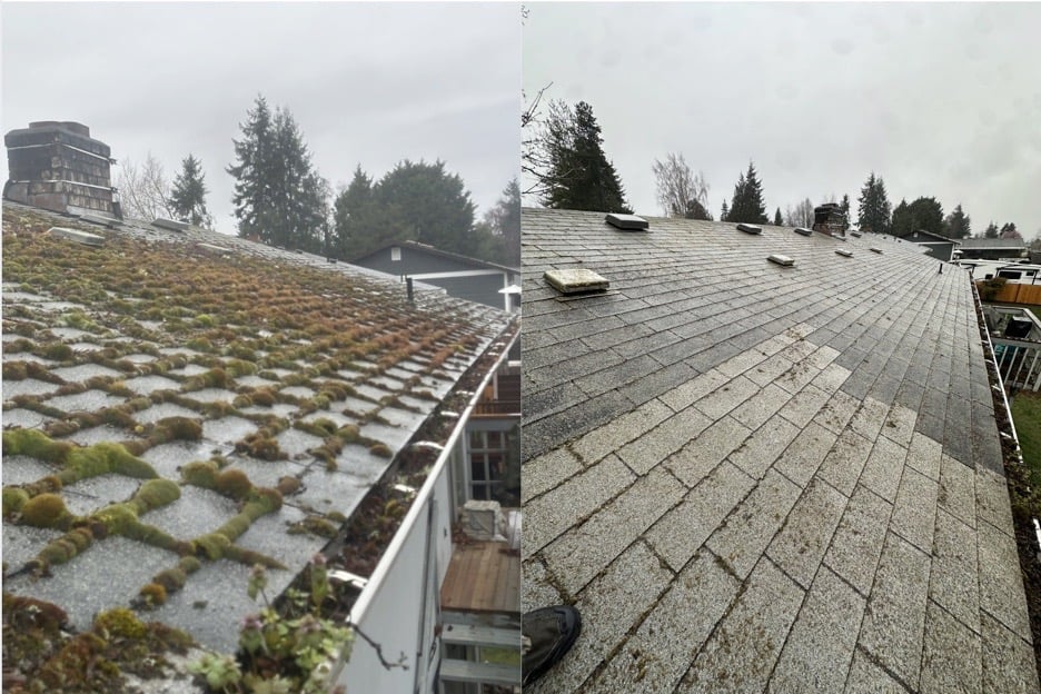 Gutter Cleaning